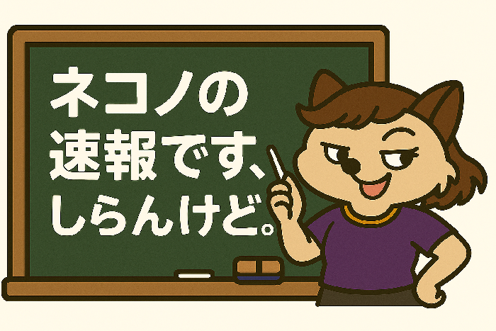 バニーズ京都SC flaps